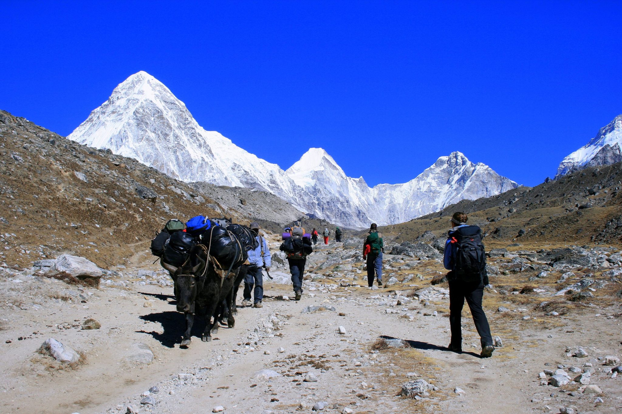 When Is The Best Time To Trek To Everest Base Camp? - One World Trekking